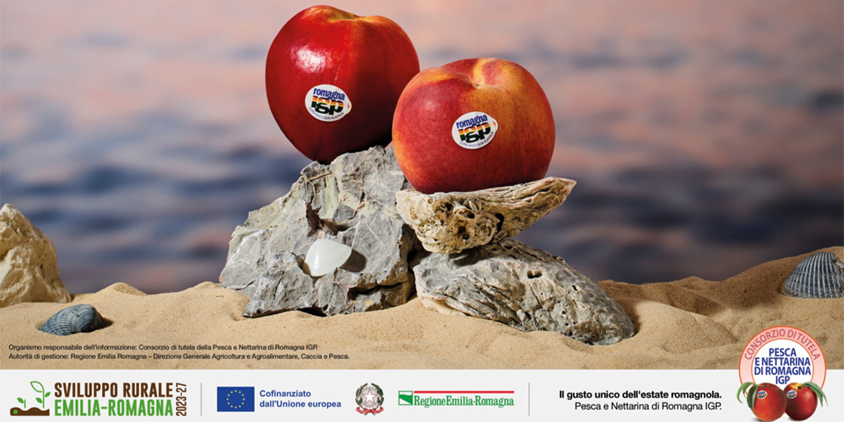 Al via la campagna 2025 della Pesca e Nettarina di Romagna IGP